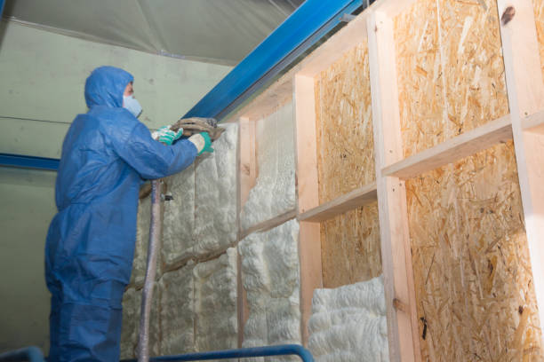 Best Wall Insulation Contractor  in Cottonwood, ID