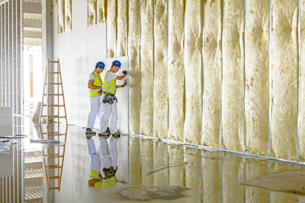 Best Best Insulation Companies  in Cottonwood, ID